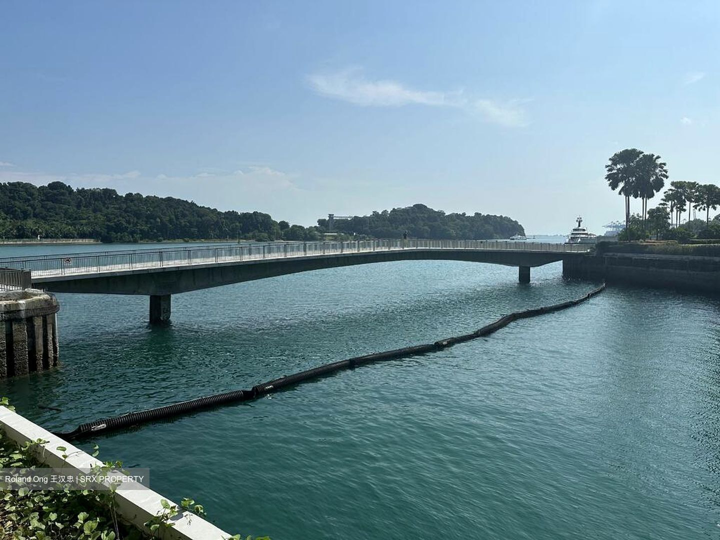 The Reef At King’s Dock (D4), Condominium #499979541